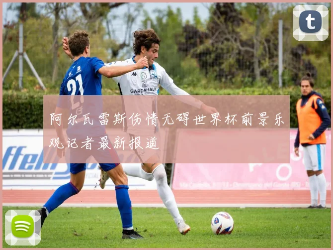 阿尔瓦雷斯伤情无碍世界杯前景乐观记者最新报道